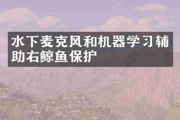 水下麦克风和机器学习辅助右鲸鱼保护