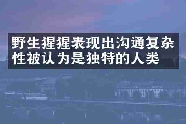 野生猩猩表现出沟通复杂性被认为是独特的人类