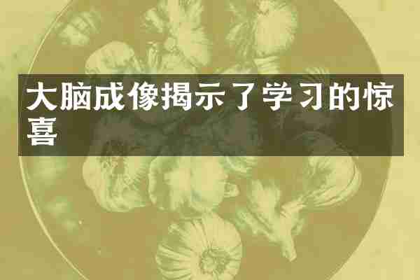 大脑成像揭示了学习的惊喜