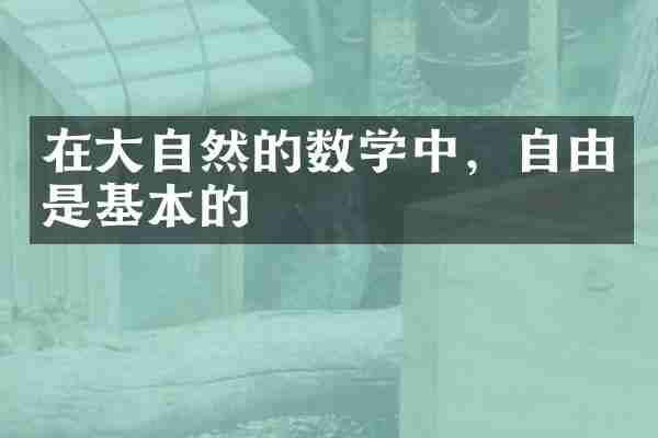 在大自然的数学中，自由是基本的