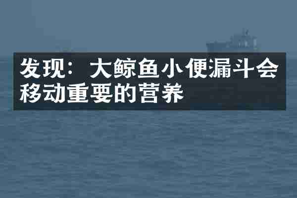 发现：大鲸鱼小便漏斗会移动重要的营养