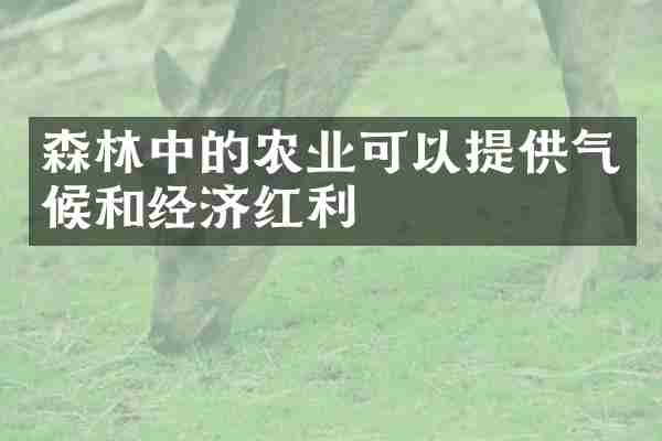 森林中的农业可以提供气候和经济红利