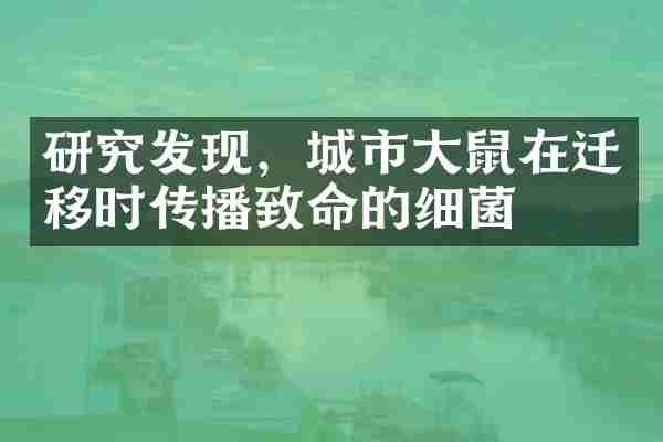 研究发现，城市大鼠在迁移时传播致命的细菌