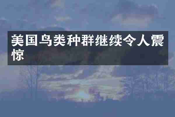 美国鸟类种群继续令人震惊
