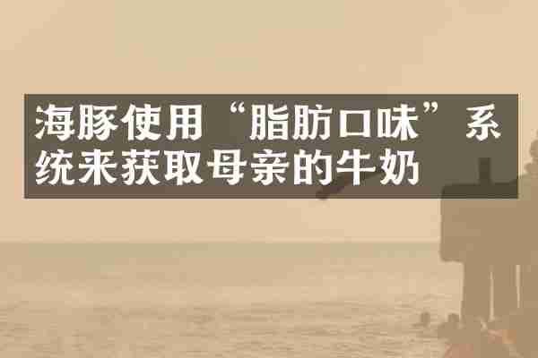 海豚使用“脂肪口味”系统来获取母亲的牛奶