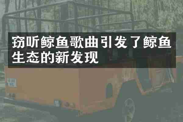 鲸鱼歌曲引发了鲸鱼生态的新发现