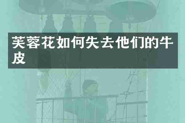 芙蓉花如何失去他们的牛皮