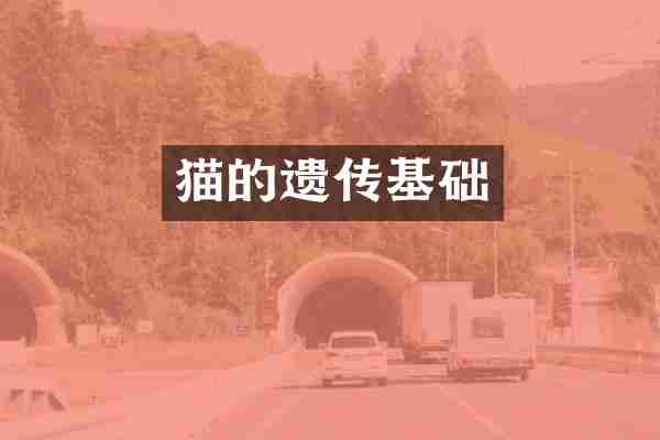 猫的遗传基础