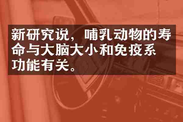 新研究说，哺乳动物的寿命与大脑大小和免疫系统功能有关。