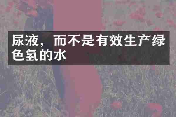 尿液，而不是有效生产绿色氢的水