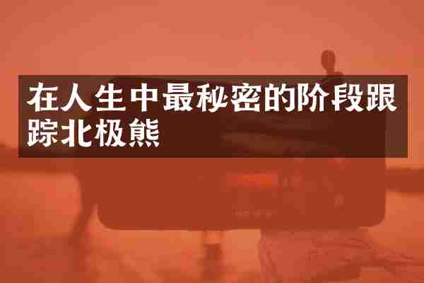 在人生中最秘密的阶段跟踪北极熊