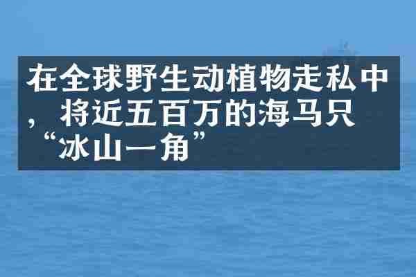 在全球野生动植物走私中,将近五百万的海马只是“冰山一角”