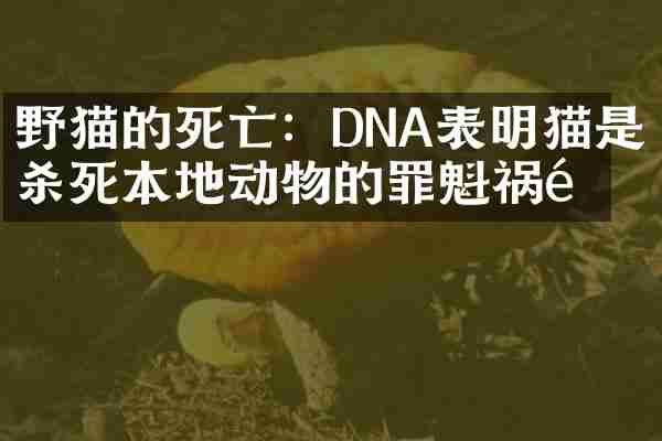 野猫的死亡:DNA表明猫是杀死本地动物的罪魁祸首