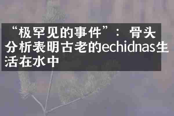 “极罕见的事件”：骨头分析表明古老的echidnas生活在水中