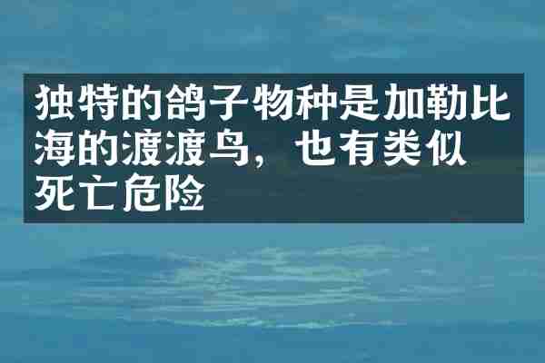 独特的鸽子物种是加勒比海的渡渡鸟，也有类似的死亡危险