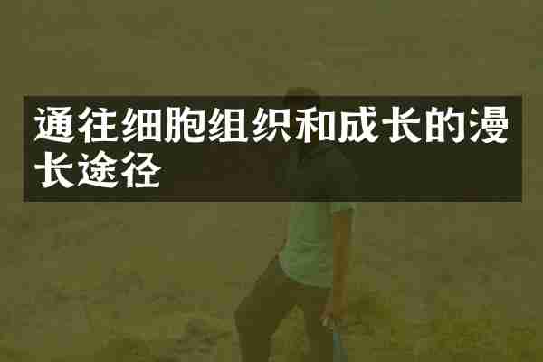 通往细胞组织和成长的漫长途径