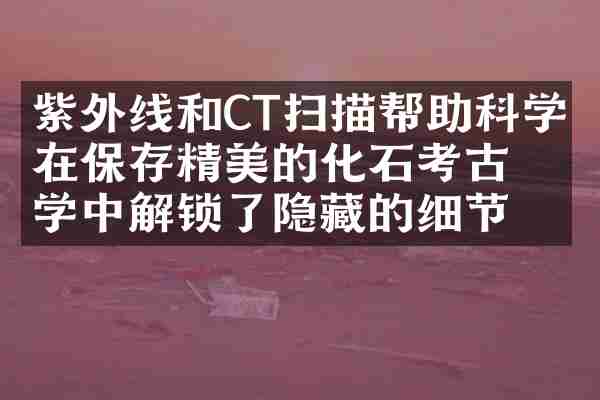 紫外线和CT扫描帮助科学家在保存精美的化石考古学中解锁了隐藏的细节