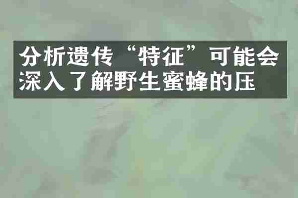 分析遗传“特征”可能会深入了解野生蜜蜂的压力