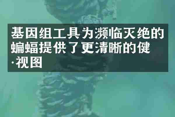 基因组工具为濒临灭绝的蝙蝠提供了更清晰的健康视图